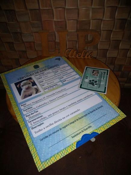 Certidão de nascimento e RG para Pet's