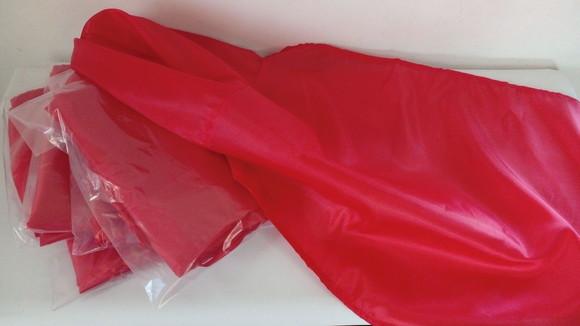 Combo - Kit com 25 Capas Chapéuzinho Vermelho e Lobo