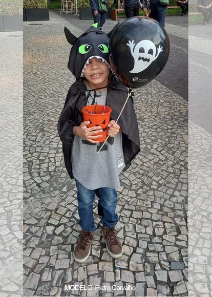 Kit com 15 Capa Dragão - Banguela