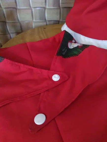 Bandana e gorro natal para pets