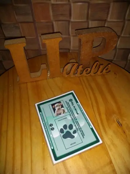 Certidão de nascimento e RG para Pet's