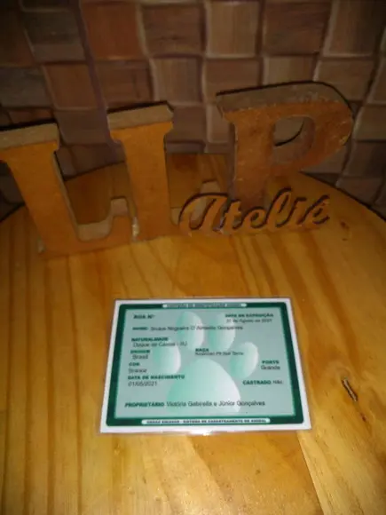 Certidão de nascimento e RG para Pet's