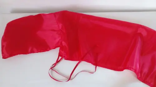 Kit com 10 Capa Chapéuzinho Vermelho