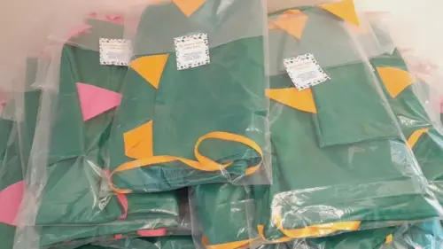 Kit com 50 Capas de Dinossauro - Baby 01 a 03 Anos