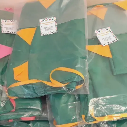 Kit com 60 Capa Dinossauro - Baby 01 a 03 Anos