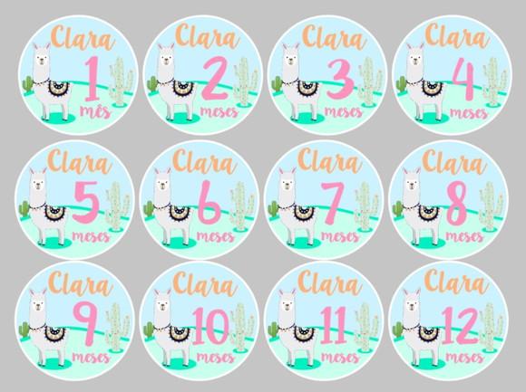 Kit de Adesivos para Body Mesversário do Bebê Lhama