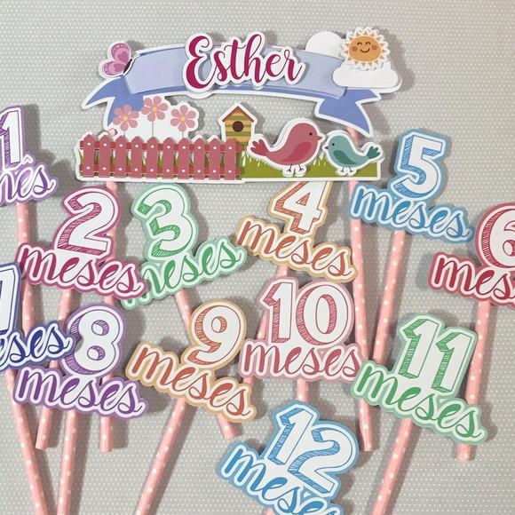 Kit Topos de Bolo Mesversário Bebê Personalizado Jardim
