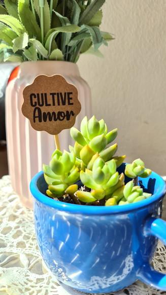 10 Toppers para Vasos de Suculentas para Lembrancinhas