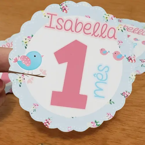 Kit de Adesivos para Body Mesversário Bebê Jardim Encantado