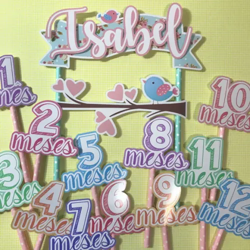Kit Topos de Bolo Mesversário Bebê Personalizado Jardim