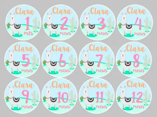 Kit de Adesivos para Body Mesversário do Bebê Lhama