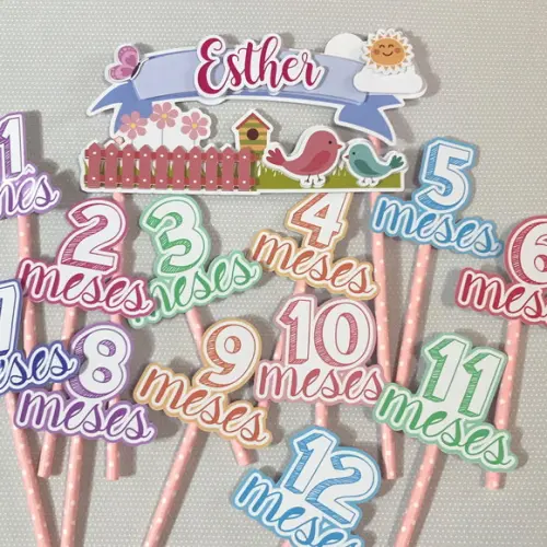 Kit Topos de Bolo Mesversário Bebê Personalizado Jardim