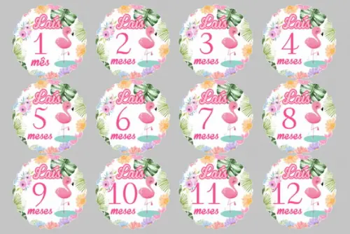 Kit de Adesivos para Body Mesversário do Bebê Flamingo