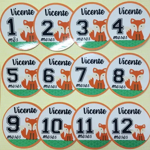 Kit de Adesivos para Body Mesversário do Bebê Raposa