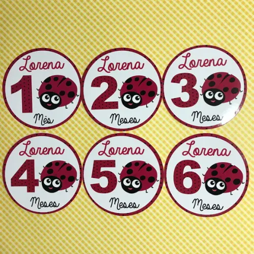 Kit de Adesivos para Body Mesversário do Bebê Joaninha