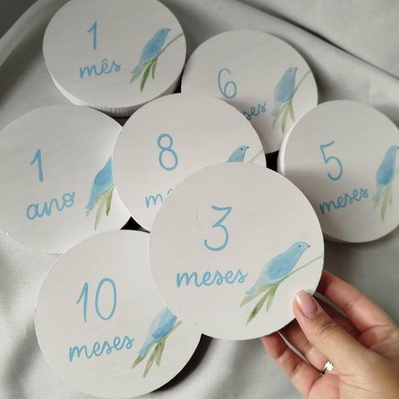 Kit Mesversário Placas em Pinus Pintadas com Tema
