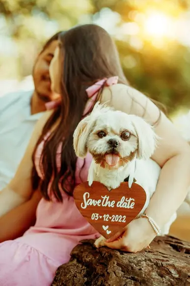 Coração mdf Colar Fotos Save The Date Cachorros
