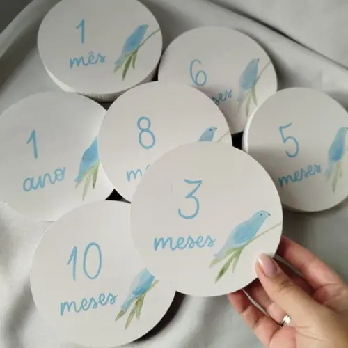 Kit Mesversário Placas em Pinus Pintadas com Tema