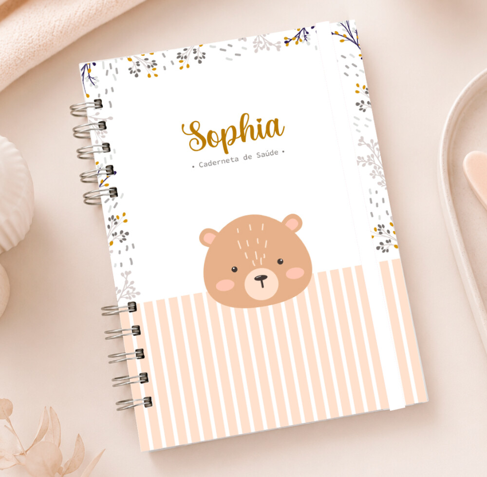 Caderneta de Saúde Vacinação do Bebê | Personalizado  | Menin
