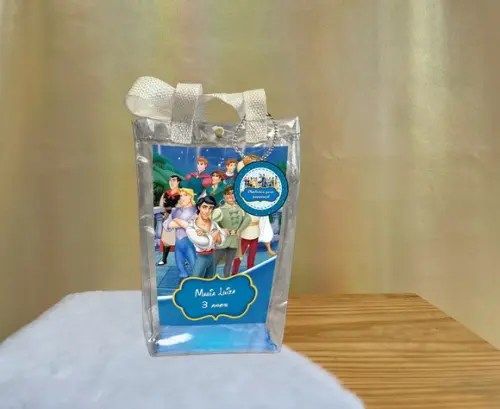 Sacola Transparente Disney Príncipes Personalizado