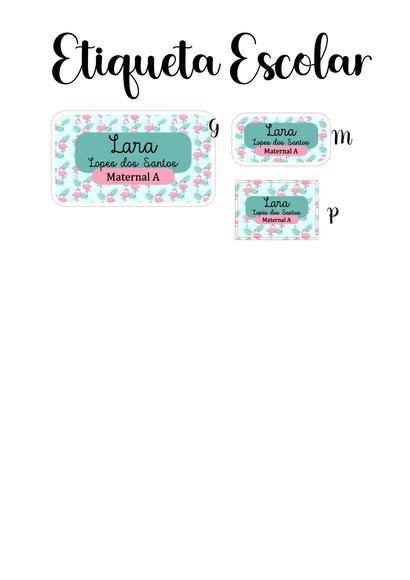Etiqueta Escolar Flamingo- Kit 2