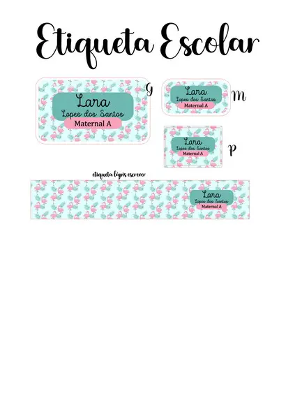 Etiqueta Escolar Flamingo - Kit 3