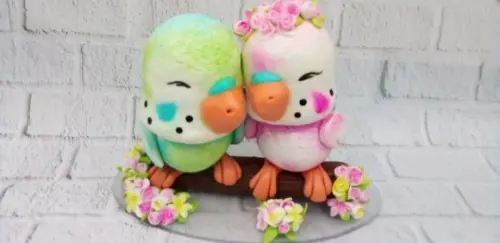 Casal de Periquito