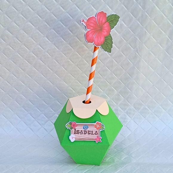 Caixa Coco Tropical / Tardezinha / Moana