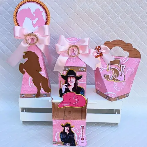 Kit 60 Caixas Personalizado Boiadeira - Ana Castela