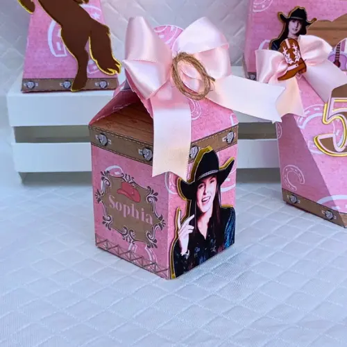 Caixa Milk Box Personalizado Boiadeira - Ana Castela