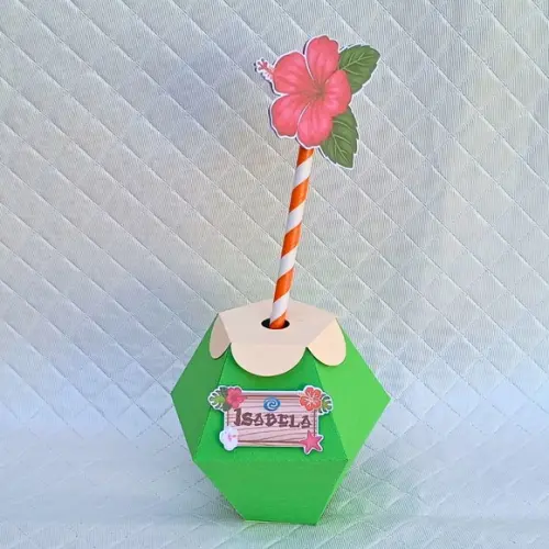 Caixa Coco Tropical / Tardezinha / Moana
