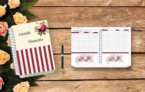 Controle Financeiro Feminino