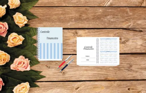 Controle Financeiro Feminino - Arquivo Digital