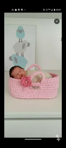 Moisés para Bebê Rebom