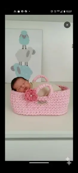 Moisés para Bebê Rebom