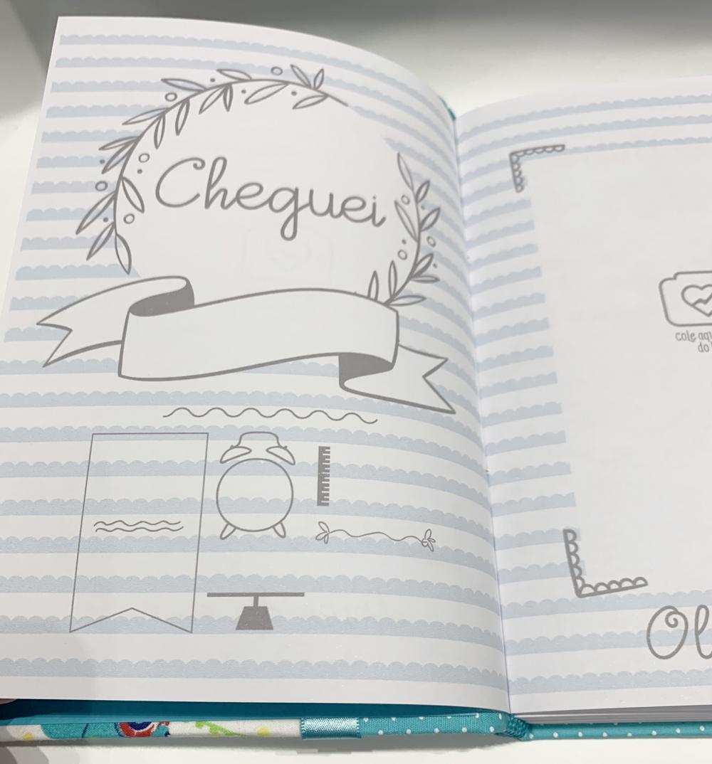 Livro do Bebê Luxo - Dinossauro 2