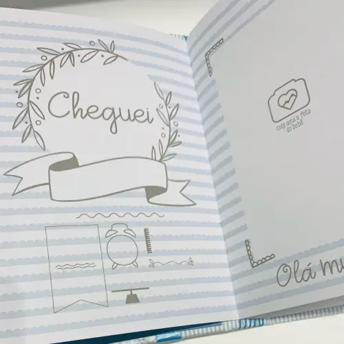 Livro do Bebê Luxo com Caixa - Dinossauros