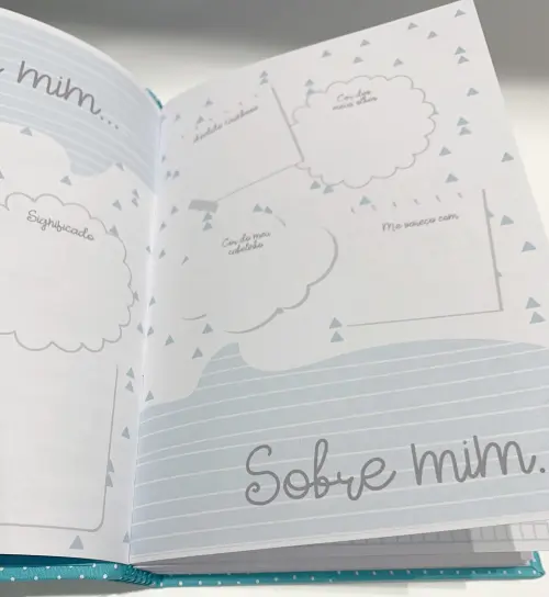 Livro do Bebê Luxo - Transportes