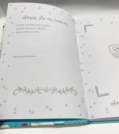 Livro do Bebê Luxo - Dinossauro 2