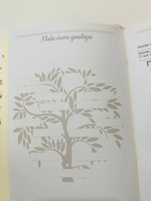 Livro do Bebê Luxo - Floral