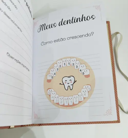 Livro do Bebê Luxo