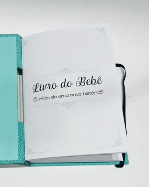 Livro do Bebê Luxo - Ursinho
