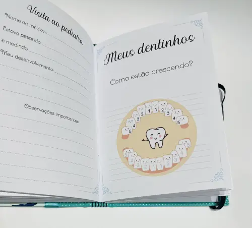 Livro do Bebê Luxo - Ursinho