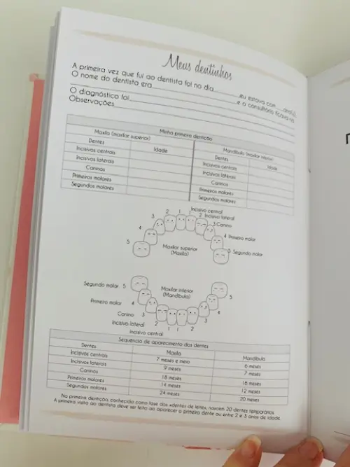 Livro do Bebê Luxo - Jardim das Borboletas