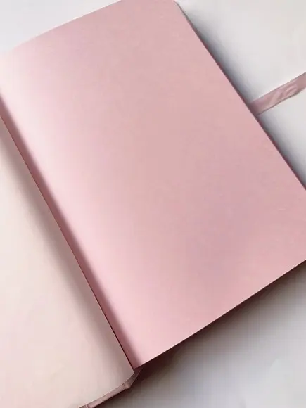 Álbum Para Fotos - Minnie