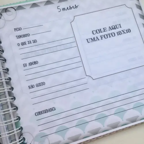Livro do Bebê - Leão Escandinavo