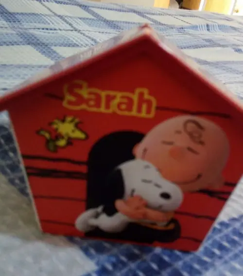 Casinha Cofre - Snoopy