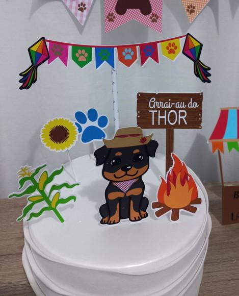 Topo de Bolo -festa Junina Pet