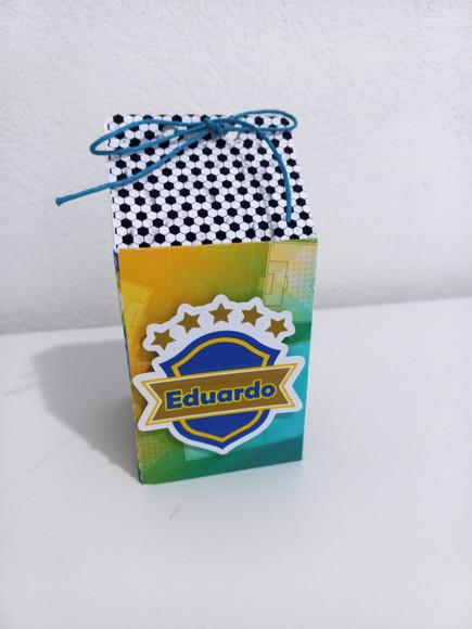 10 Caixa Milk - Copa do Mundo