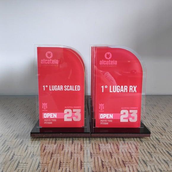 Trofeu Acrilico Personalizado Mensão Honrosa Economico